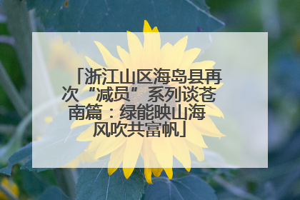浙江山区海岛县再次“减员”系列谈苍南篇：绿能映山海 风吹共富帆